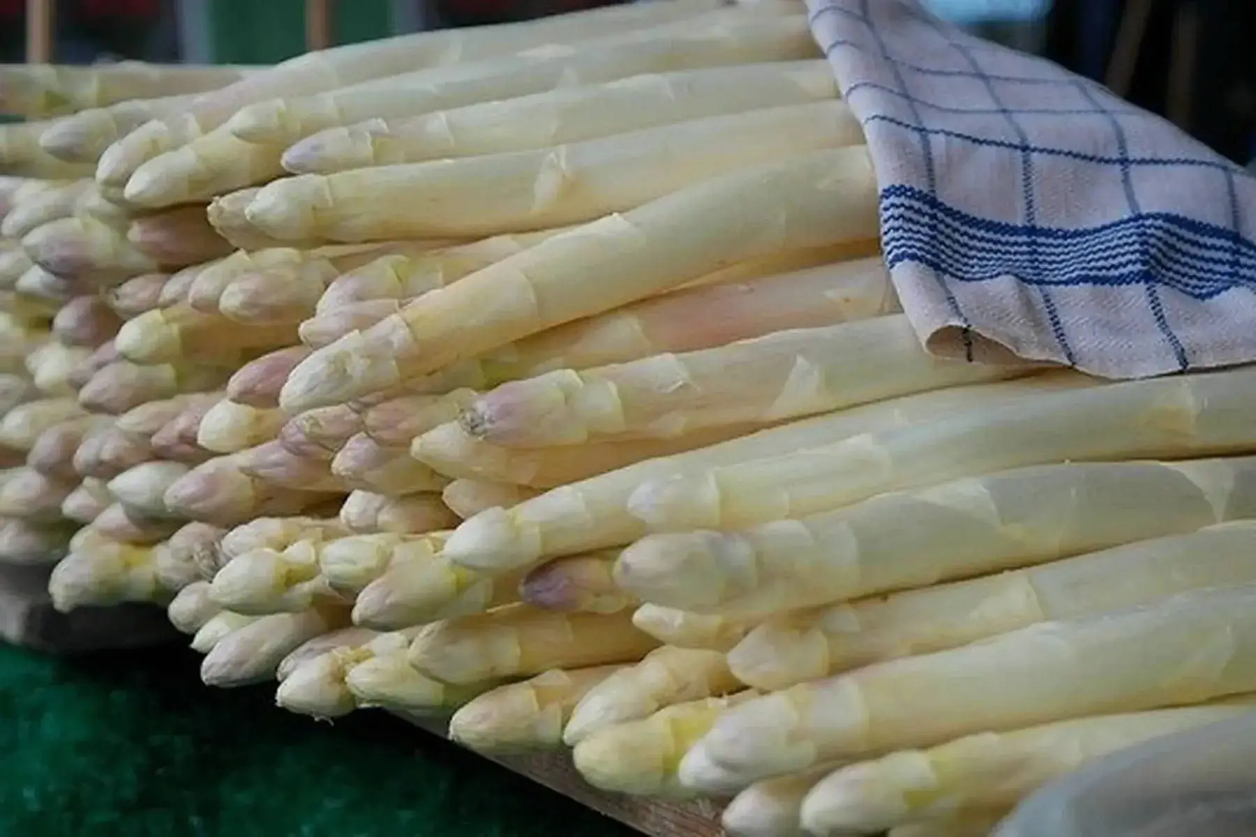 asperges