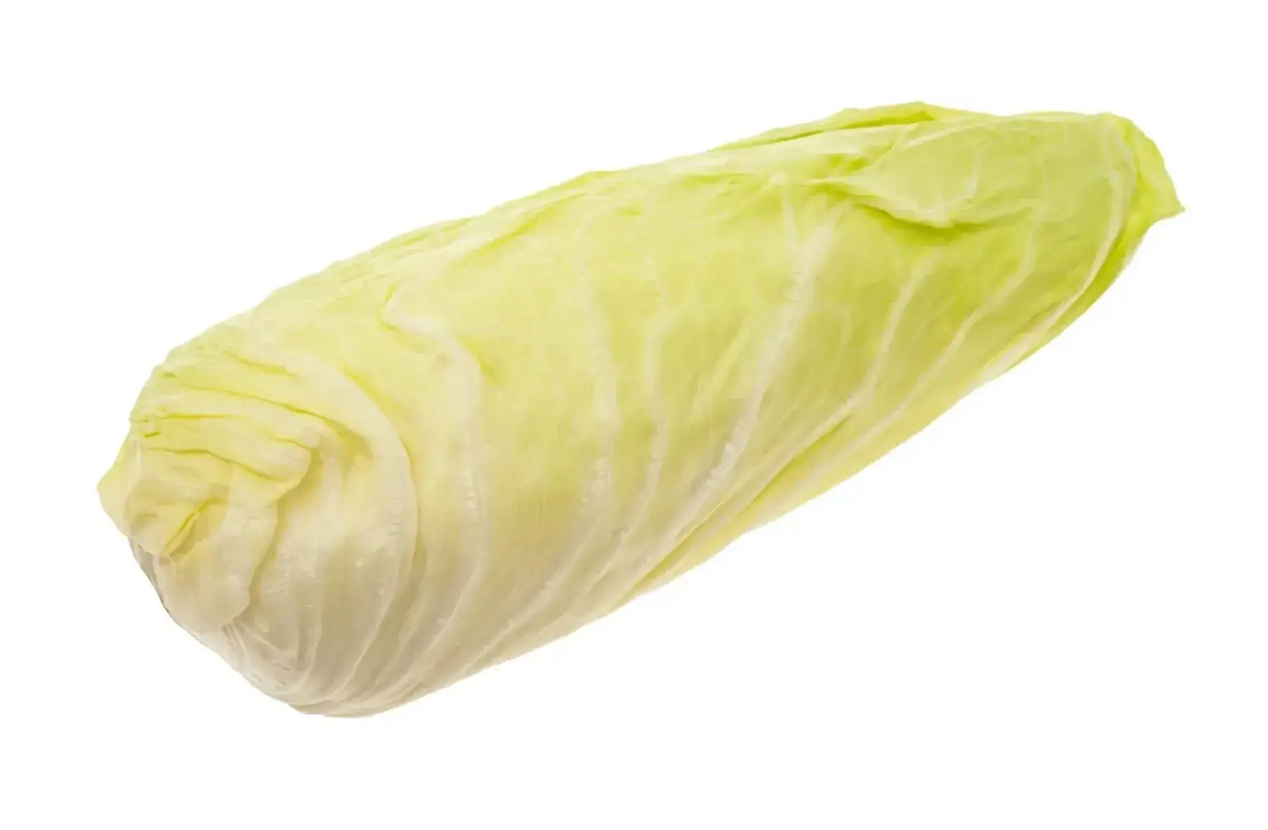 salade chicorée pain de sucre