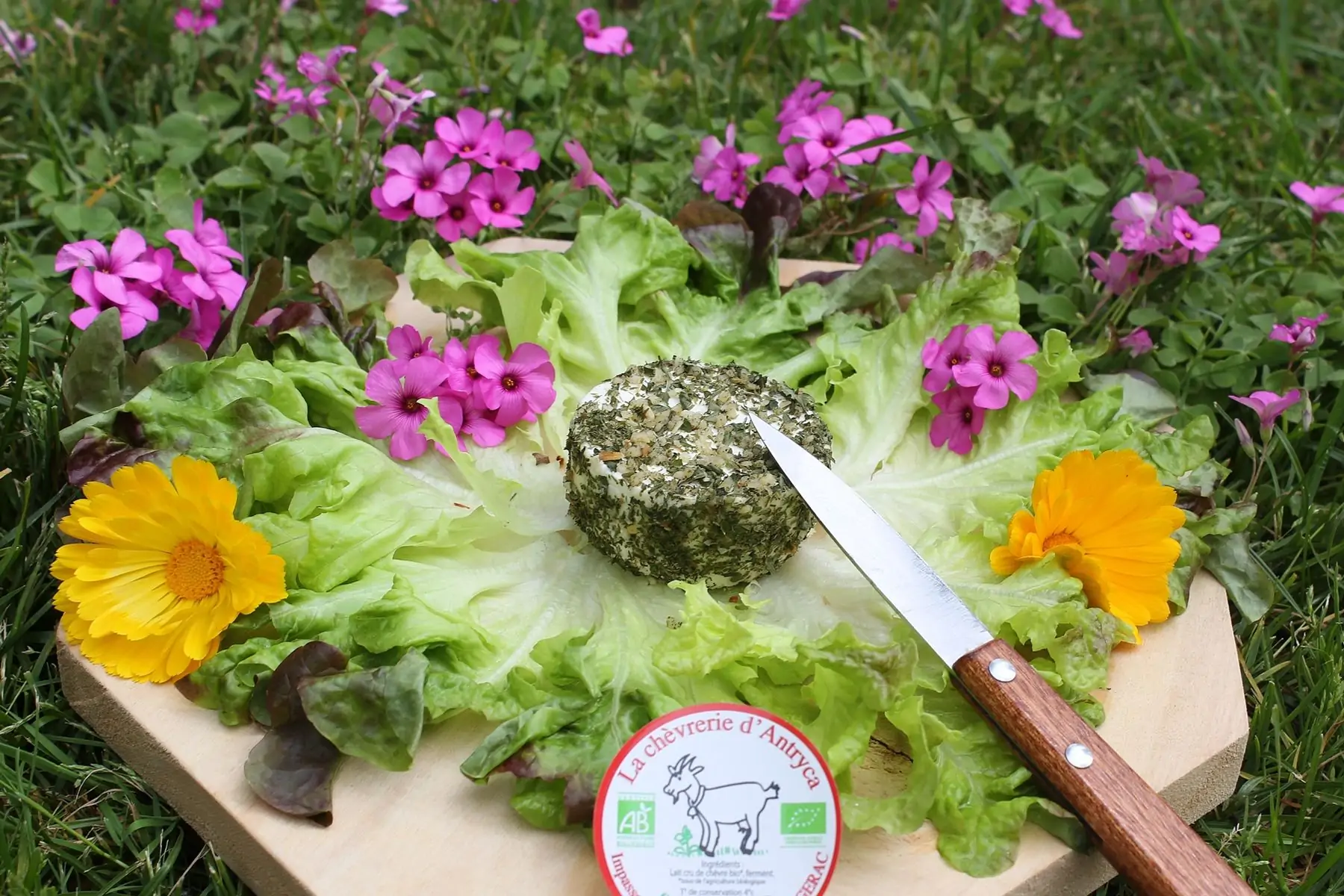 p'tit campeur vert fromage de chèvre ail et fines herbes: