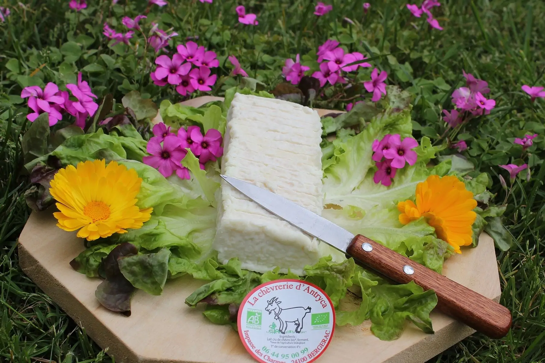 brique (fromage de chèvre fermier bio au lait cru)