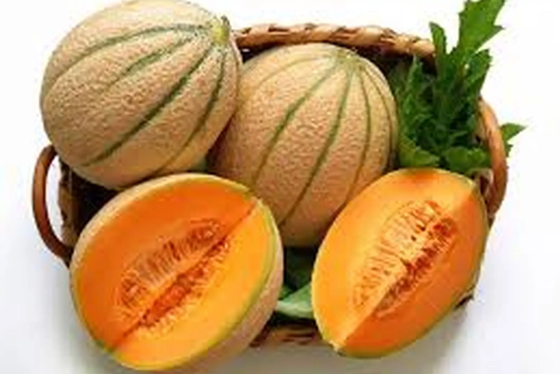 melon