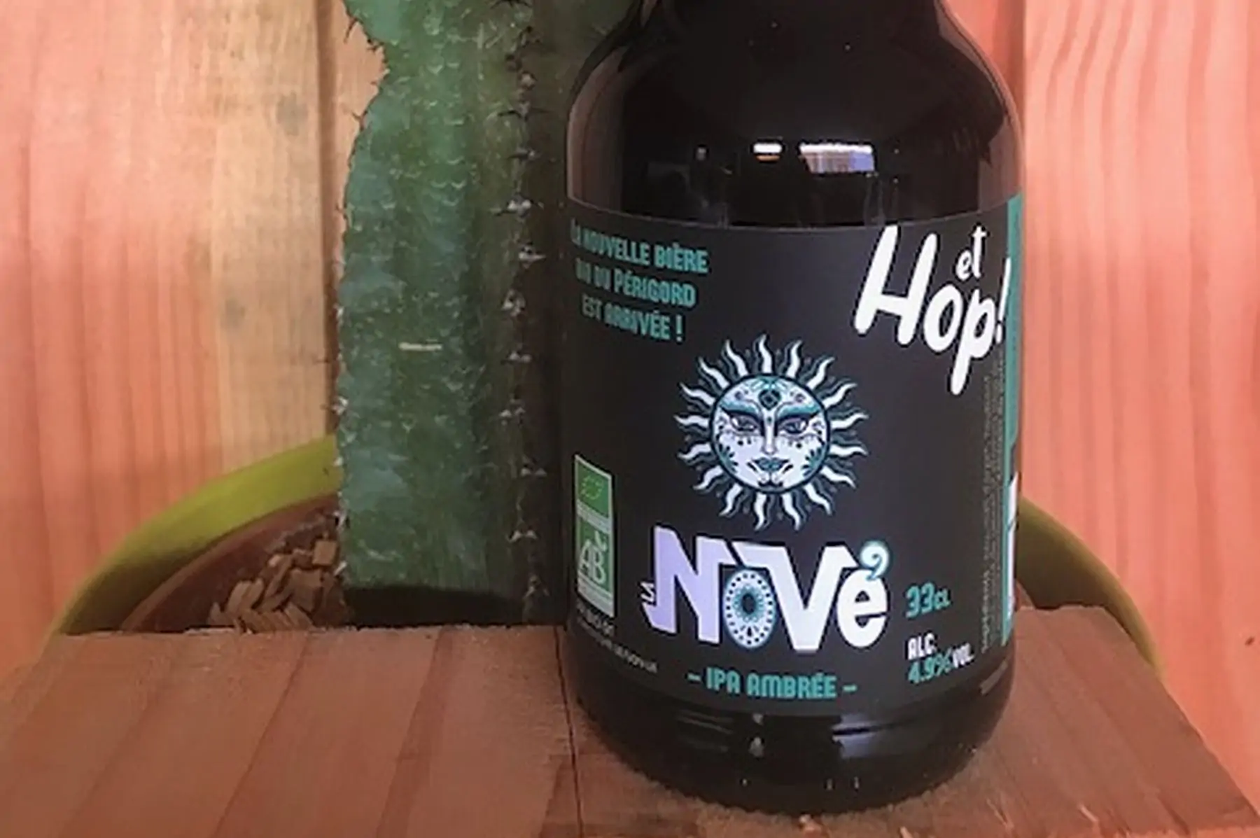 bière ipa ambrée bio