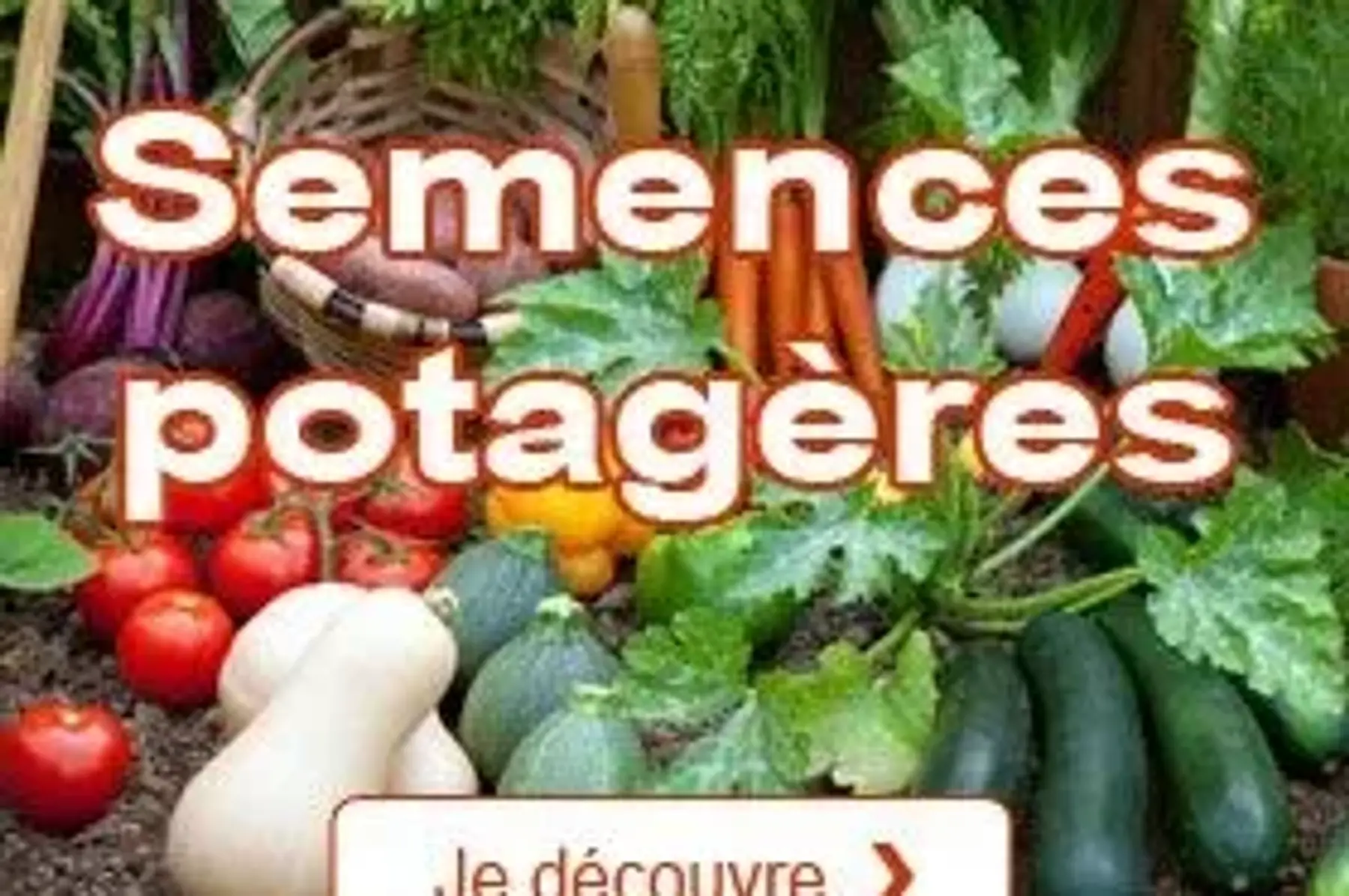 graines et plantes bio