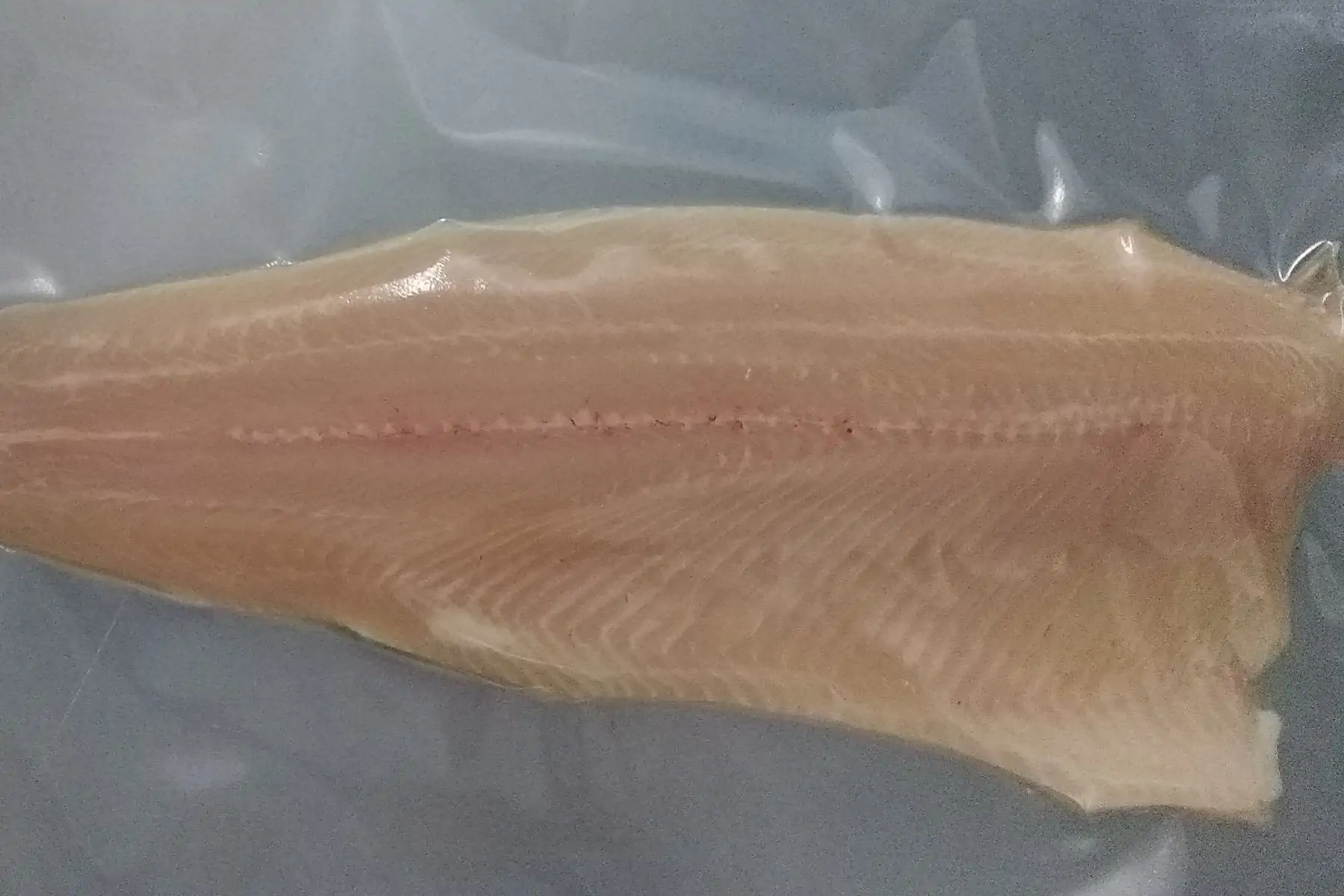 filet de cristivomer sans arĂŞtes