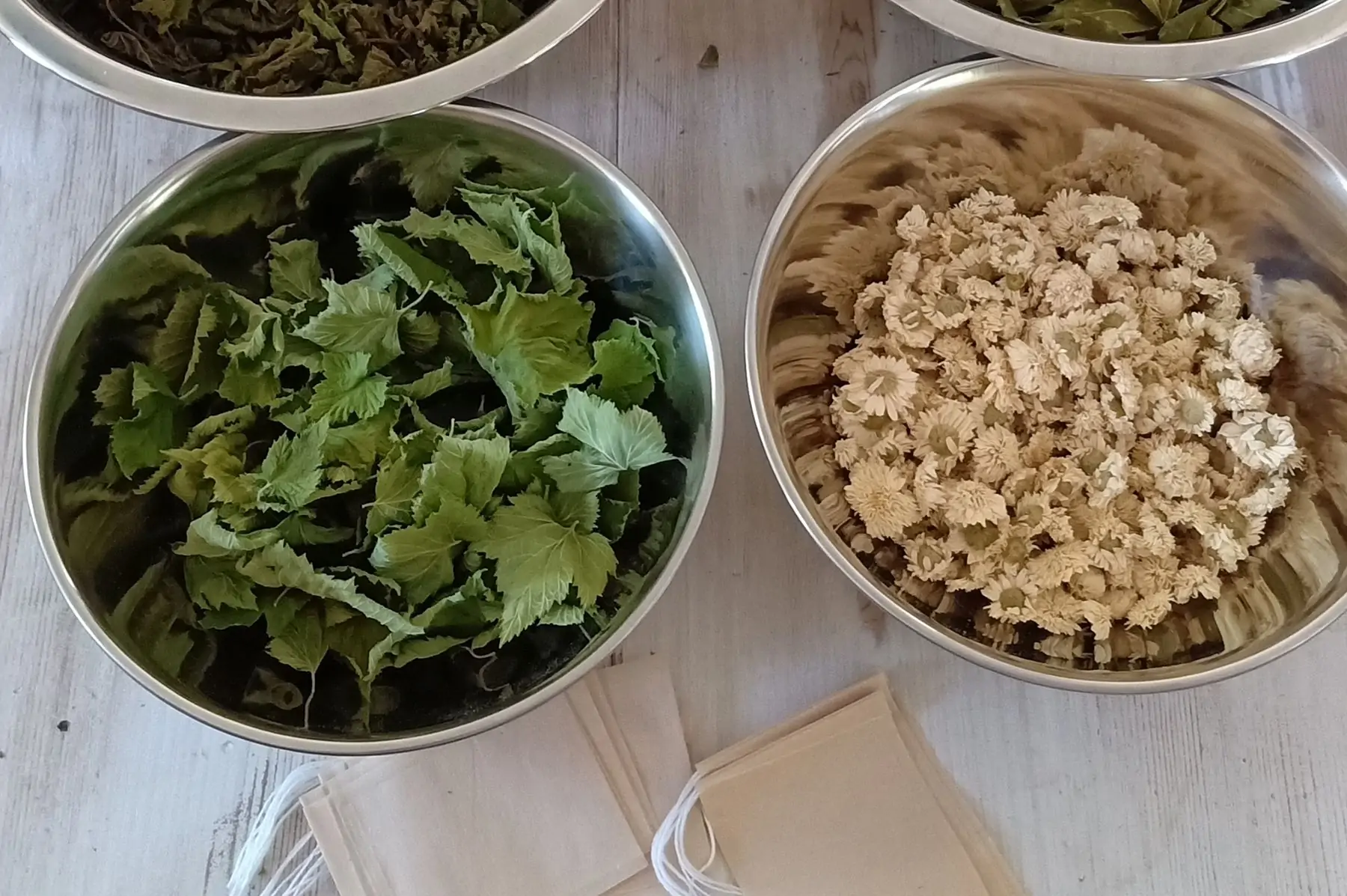 infusion : " mots de dos "