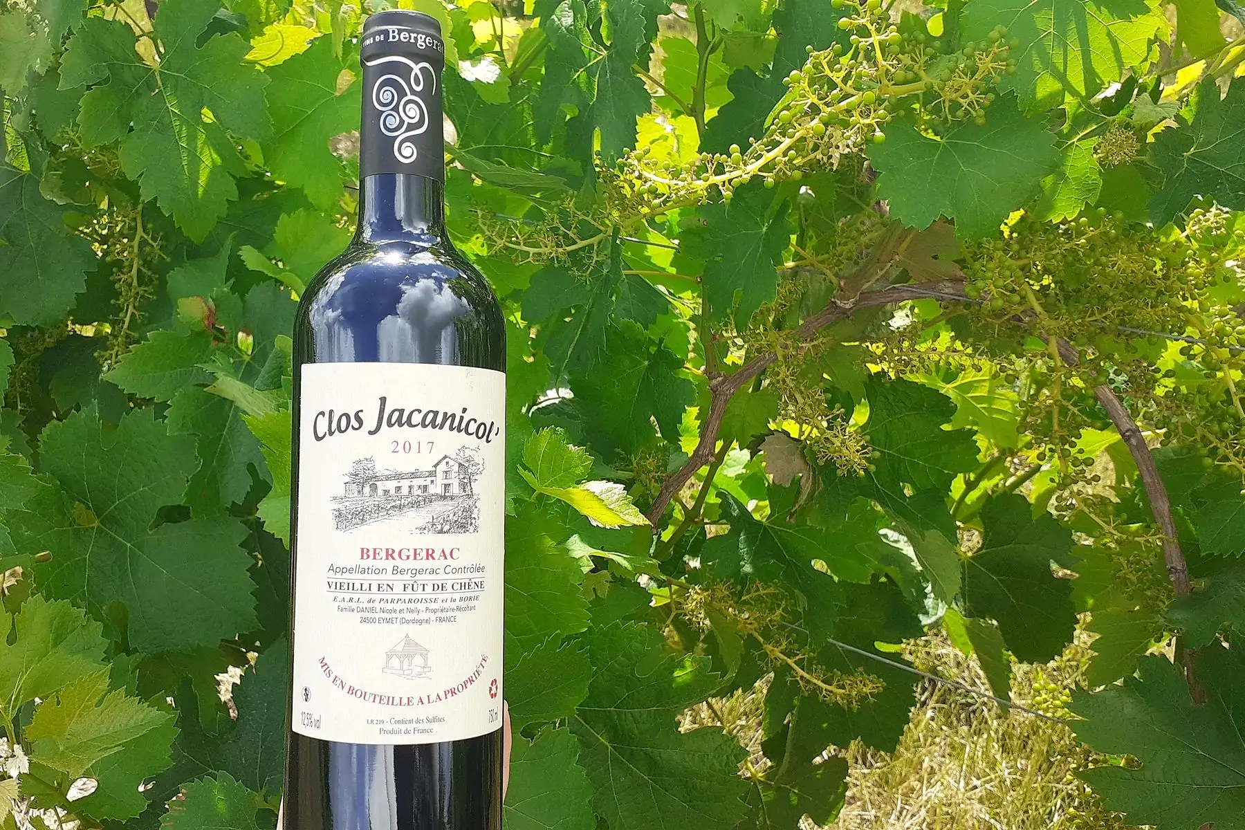 la bouteille de bergerac rouge " vieilli en fût de chêne " 2017 (75cl)