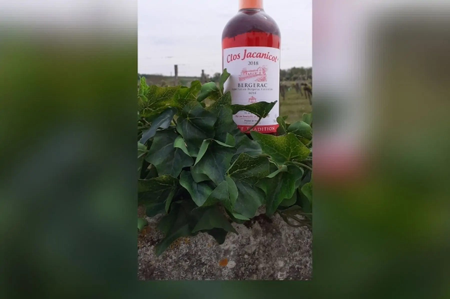 la bouteille de "bergerac rosé" 2019 (75cl)