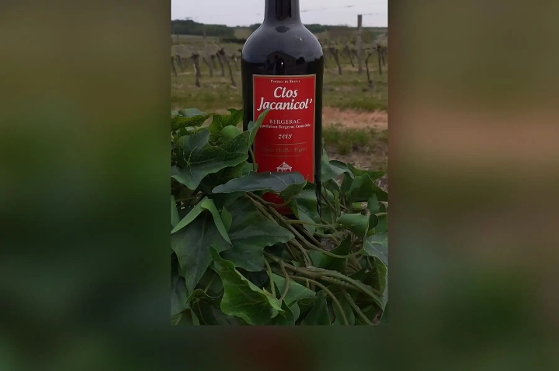 la bouteille de bergerac rouge "vieille vigne" 2018 (75cl)