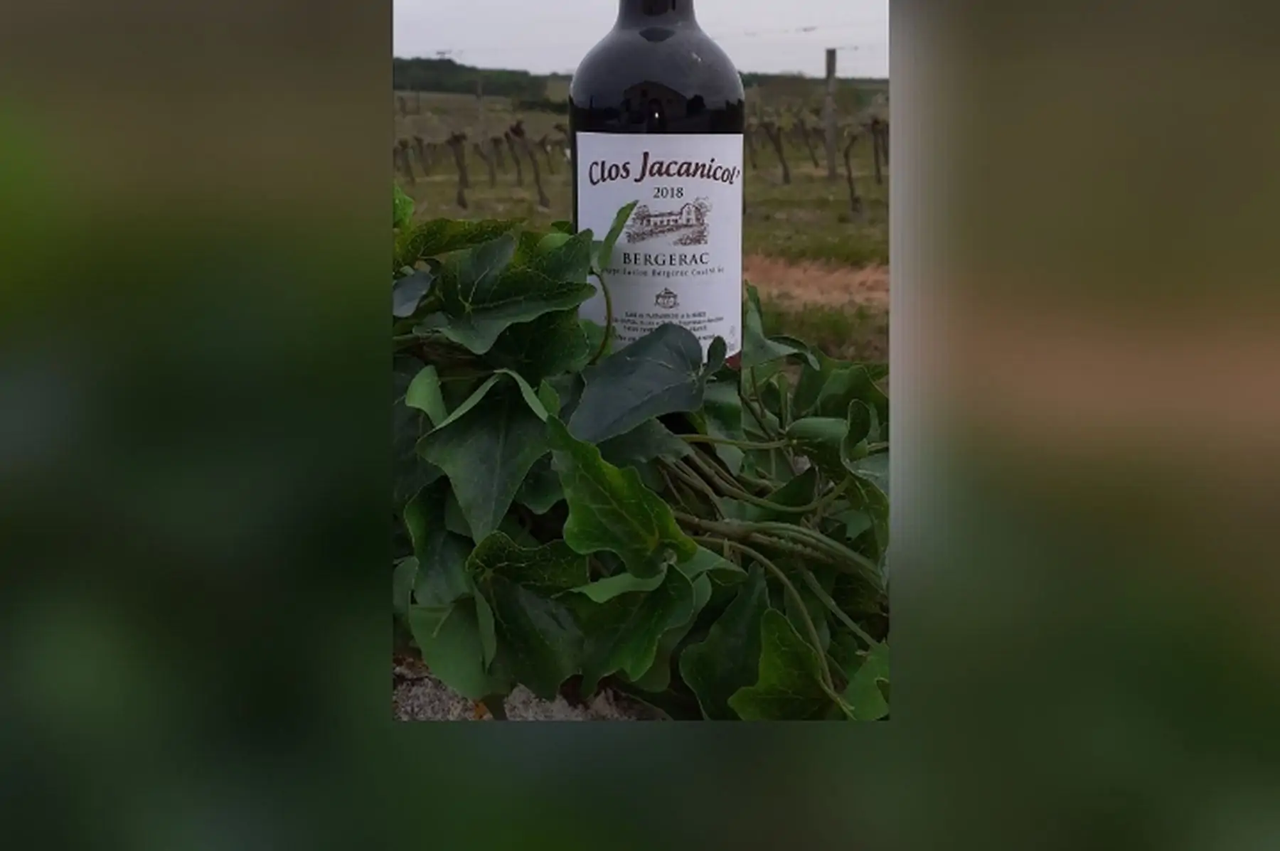 la bouteille de bergerac " rouge tradition " 2019 (75cl)