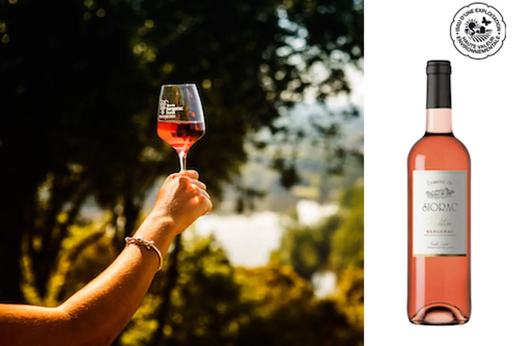 Tradition rosé 2024 BIO bouteille