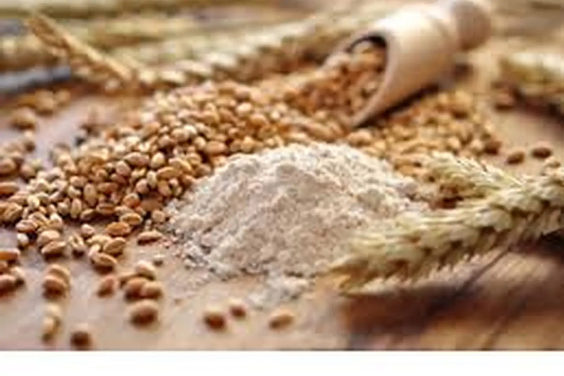 farine de blé bio (rouge de bordeaux) t110