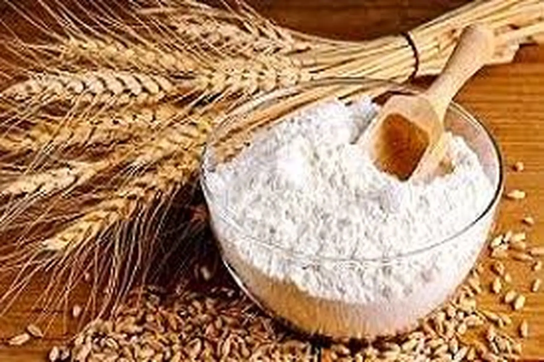 farine de blé bio (rouge de bordeaux) t80