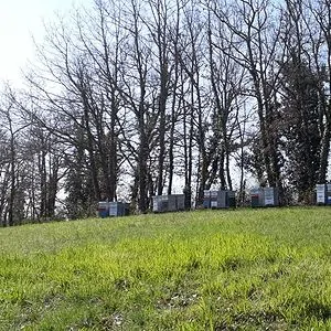 earl la ferme du burgaud