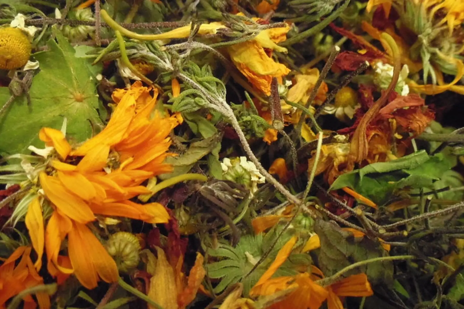 scoubidon : tisane digestive goût de caractère!