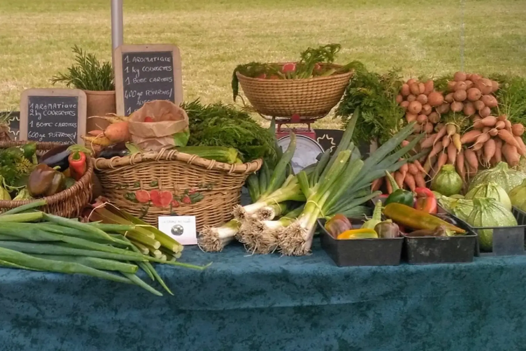 Le Champ des lucioles