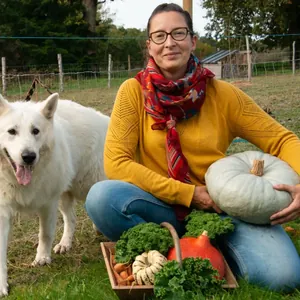 Le Champ des lucioles