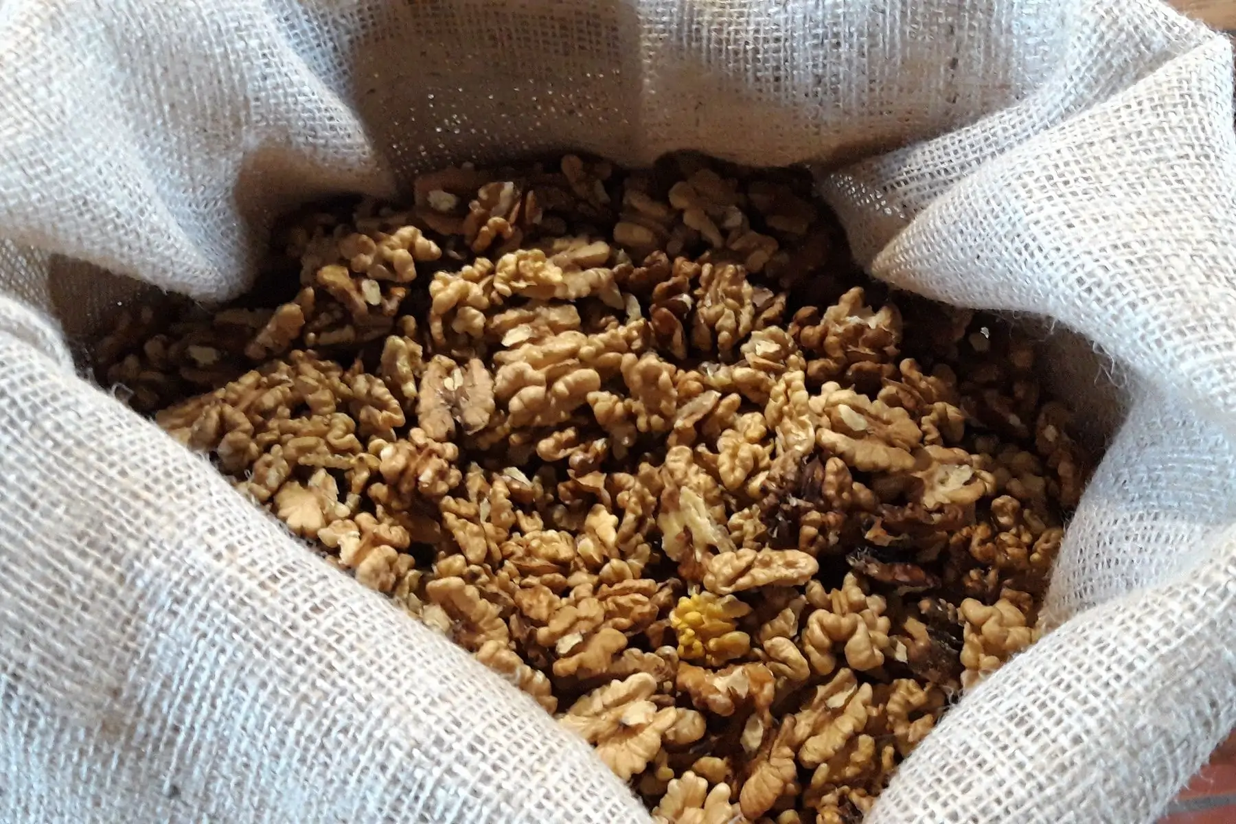 cerneaux de noix sous-vide