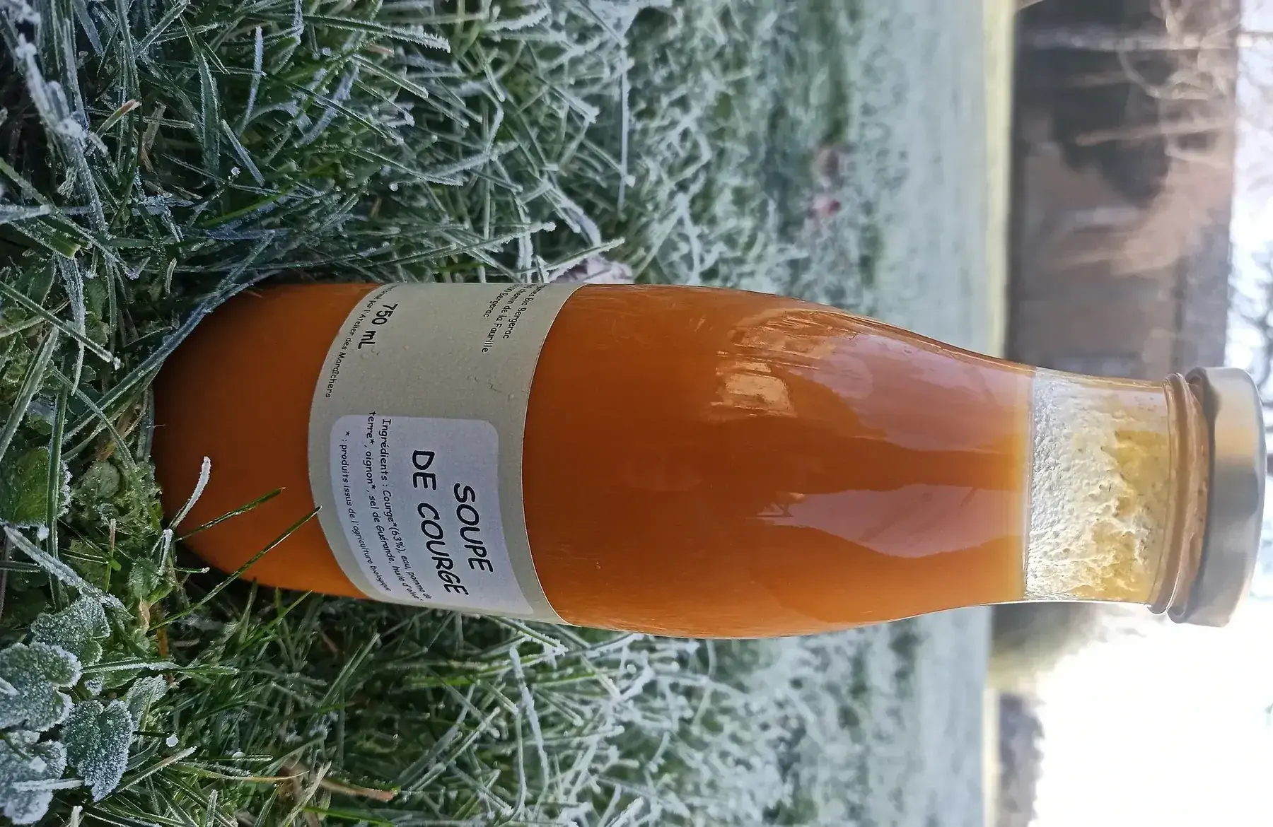 soupe citrouille potimarron