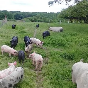 La Ferme de Veyrines (earl ch. veyrines)