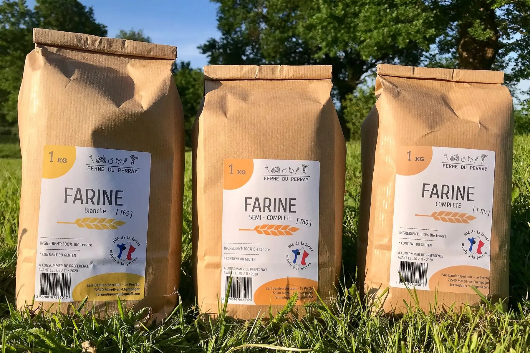 farine blanche t 65 - 1 kg