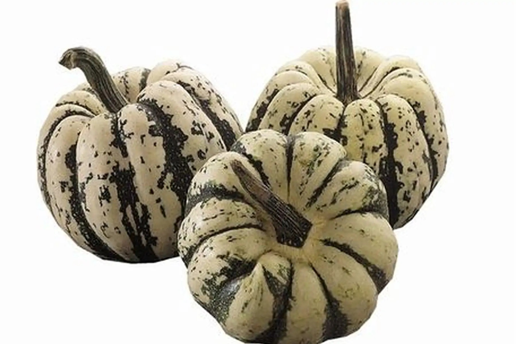 courge patidou
