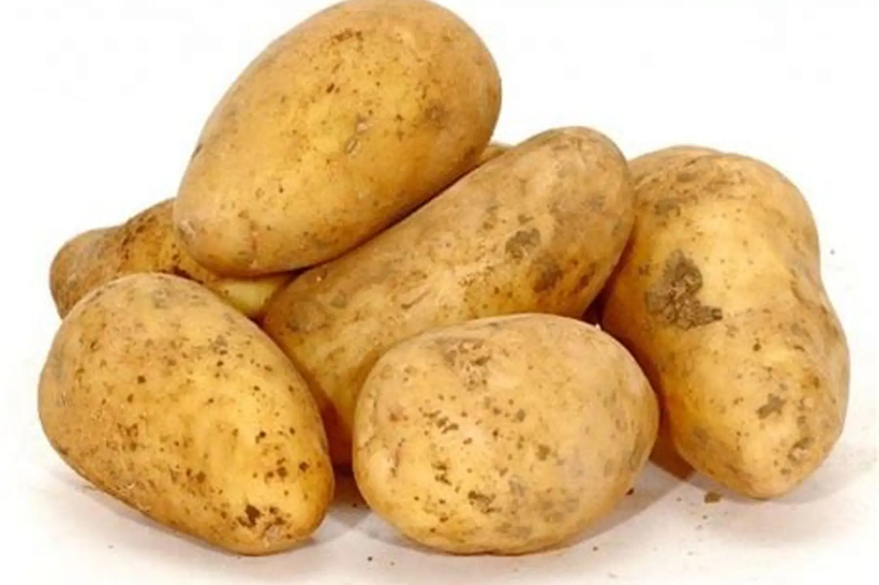 pomme de terre ditta