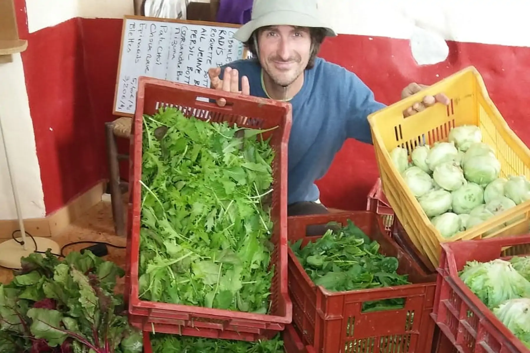 panier bio à 25 euros