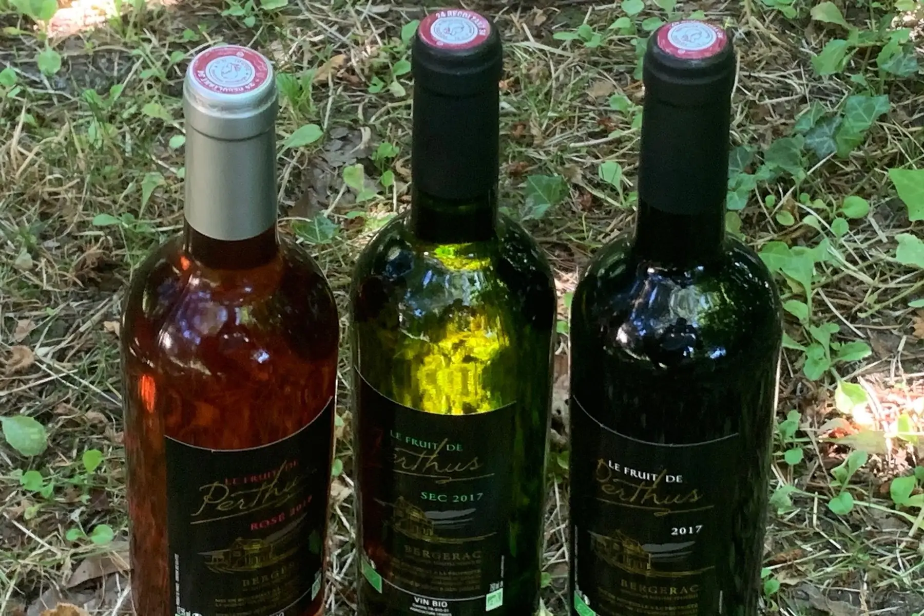 fruit de perthus blanc