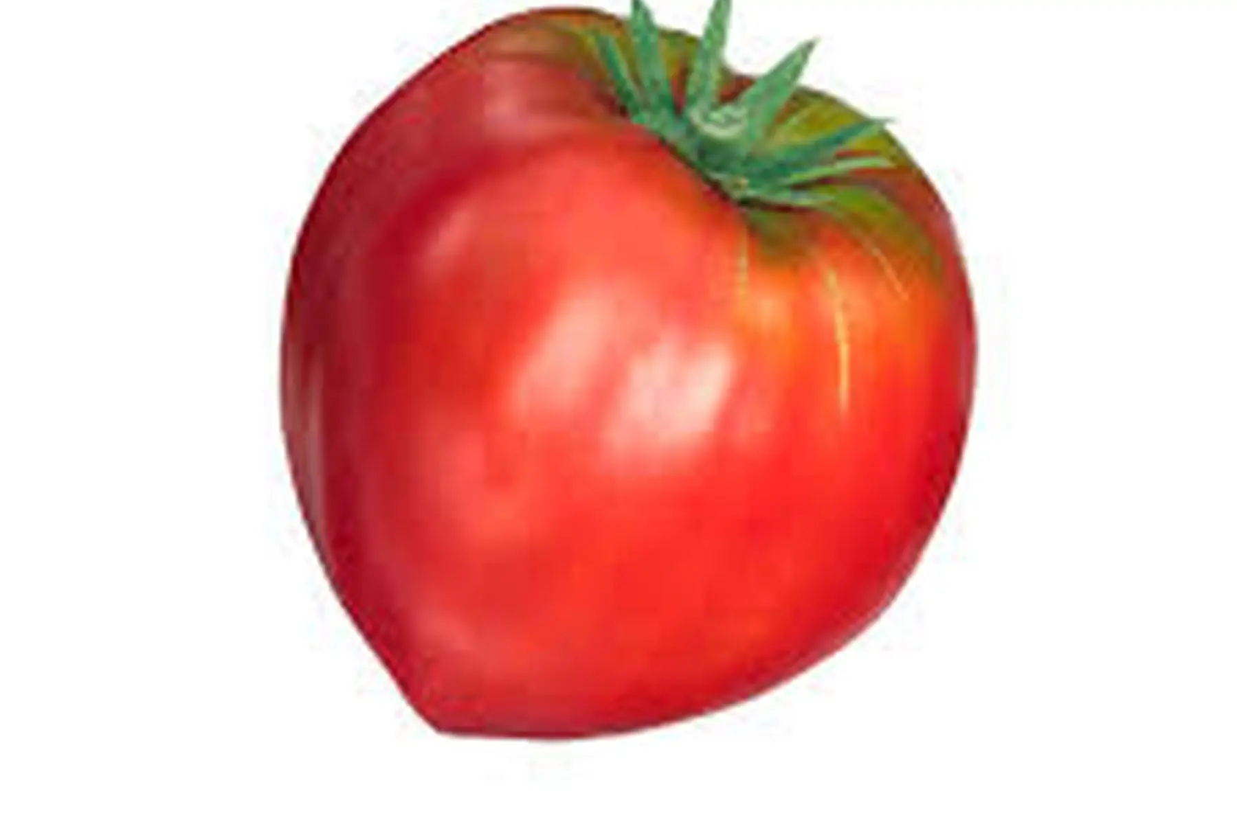 tomates coeur de boeuf