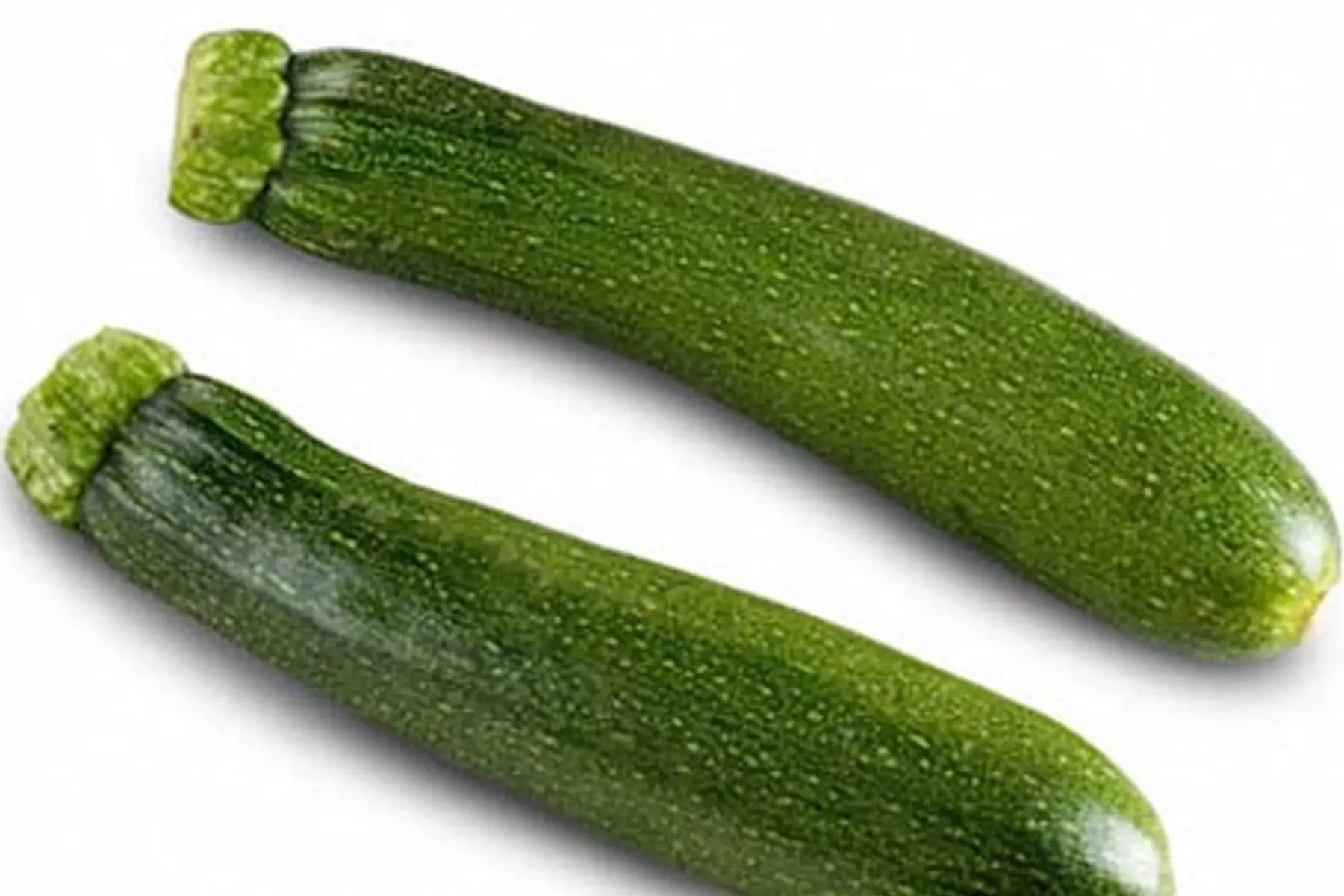 courgette verte