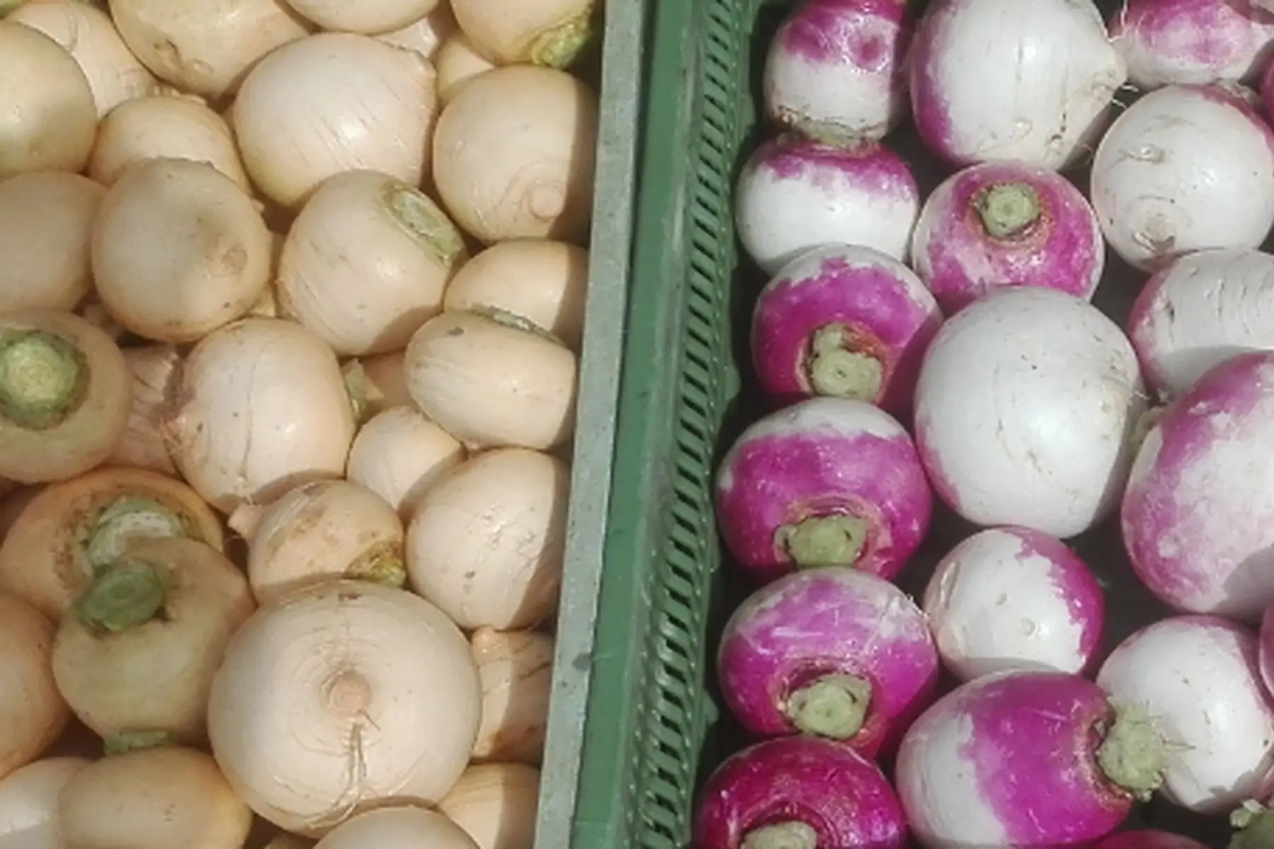 znavet vrac vente flash