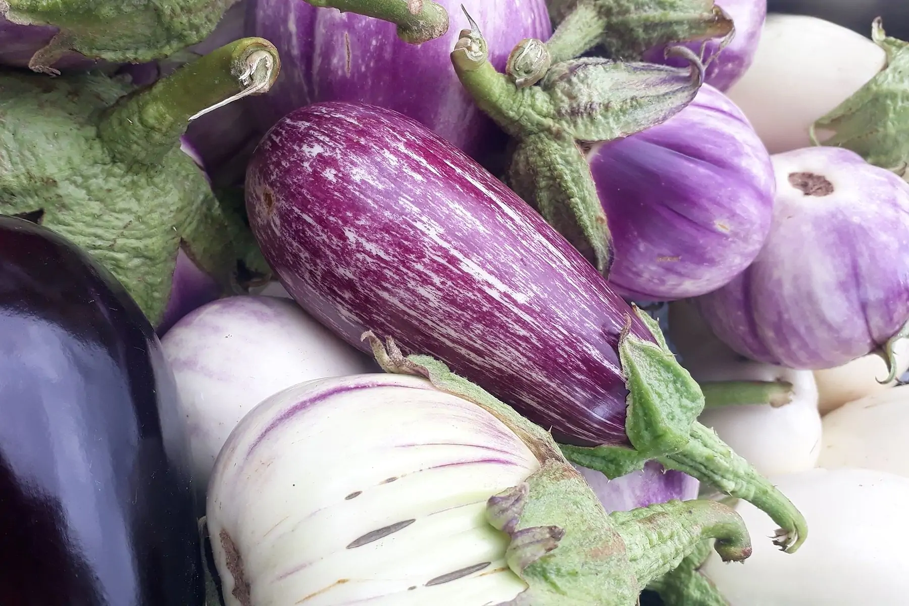 zaubergines