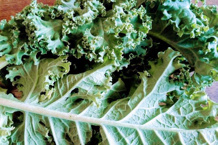 chou kale