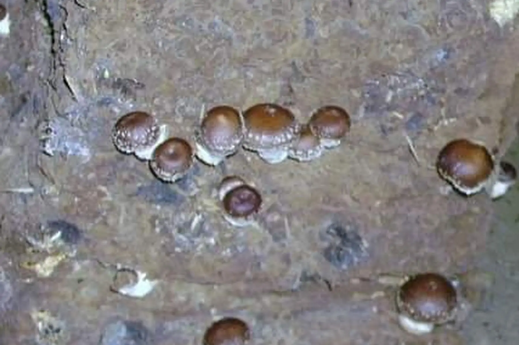 terroir et traditions