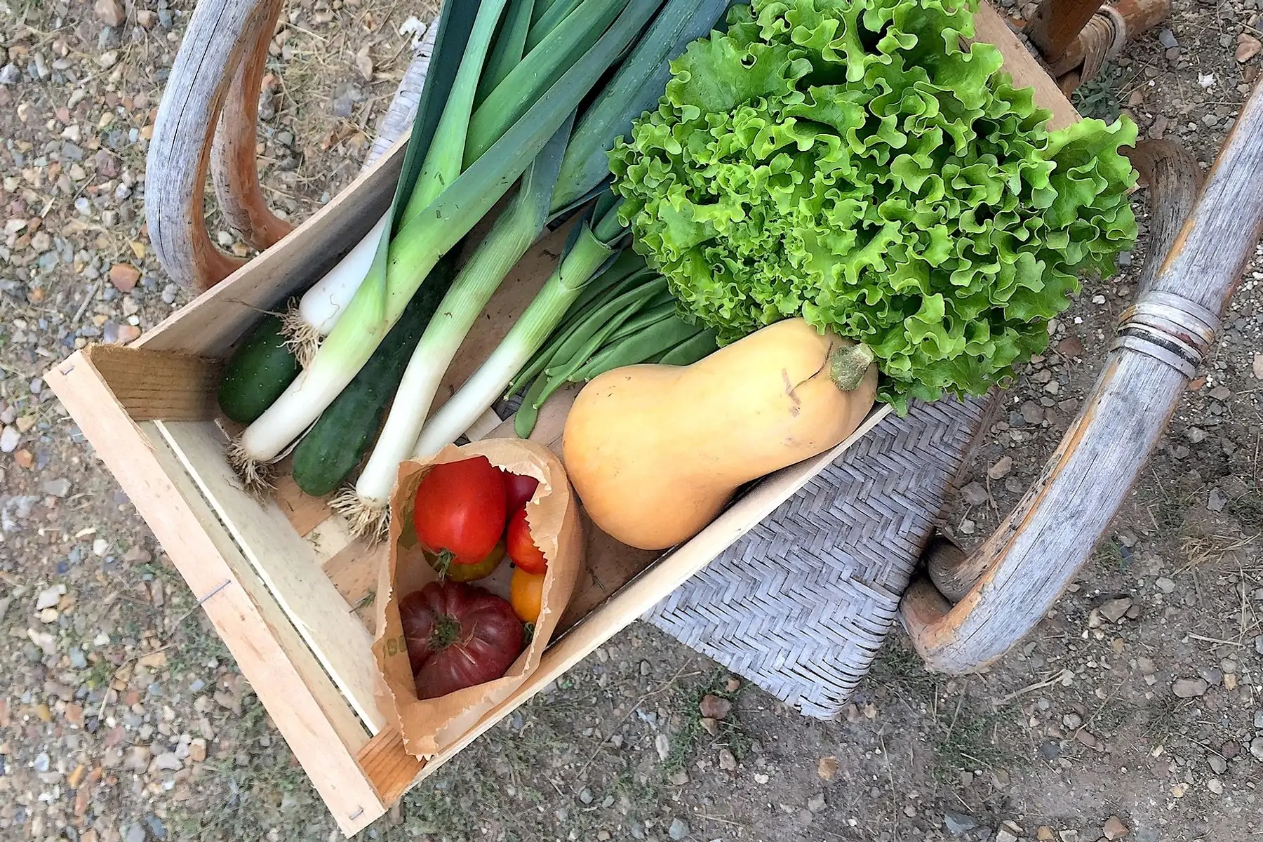 panier de légumes - grand