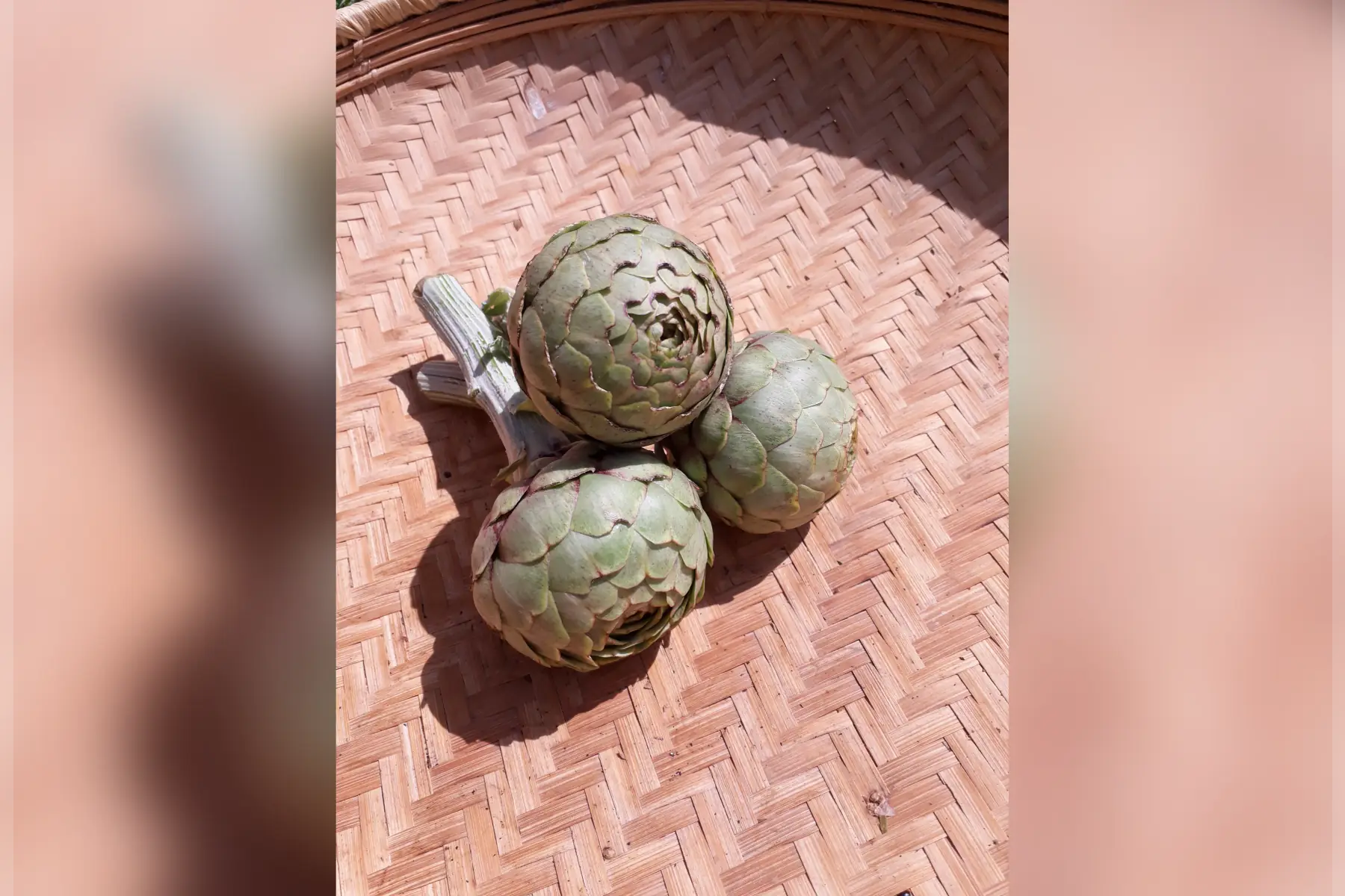 artichaud ( 3 pieces)