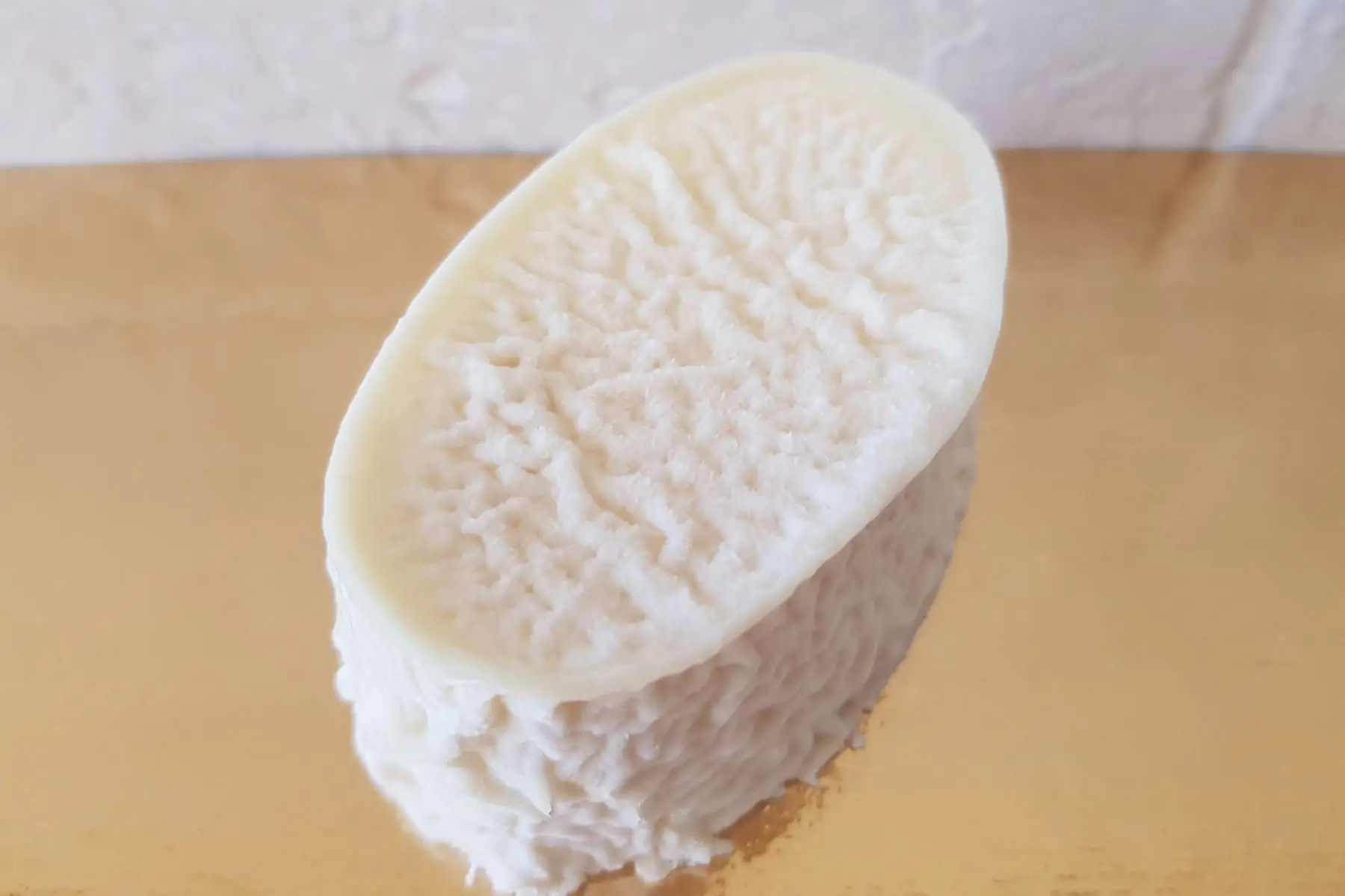 3 s "caractère" chèvre ovale