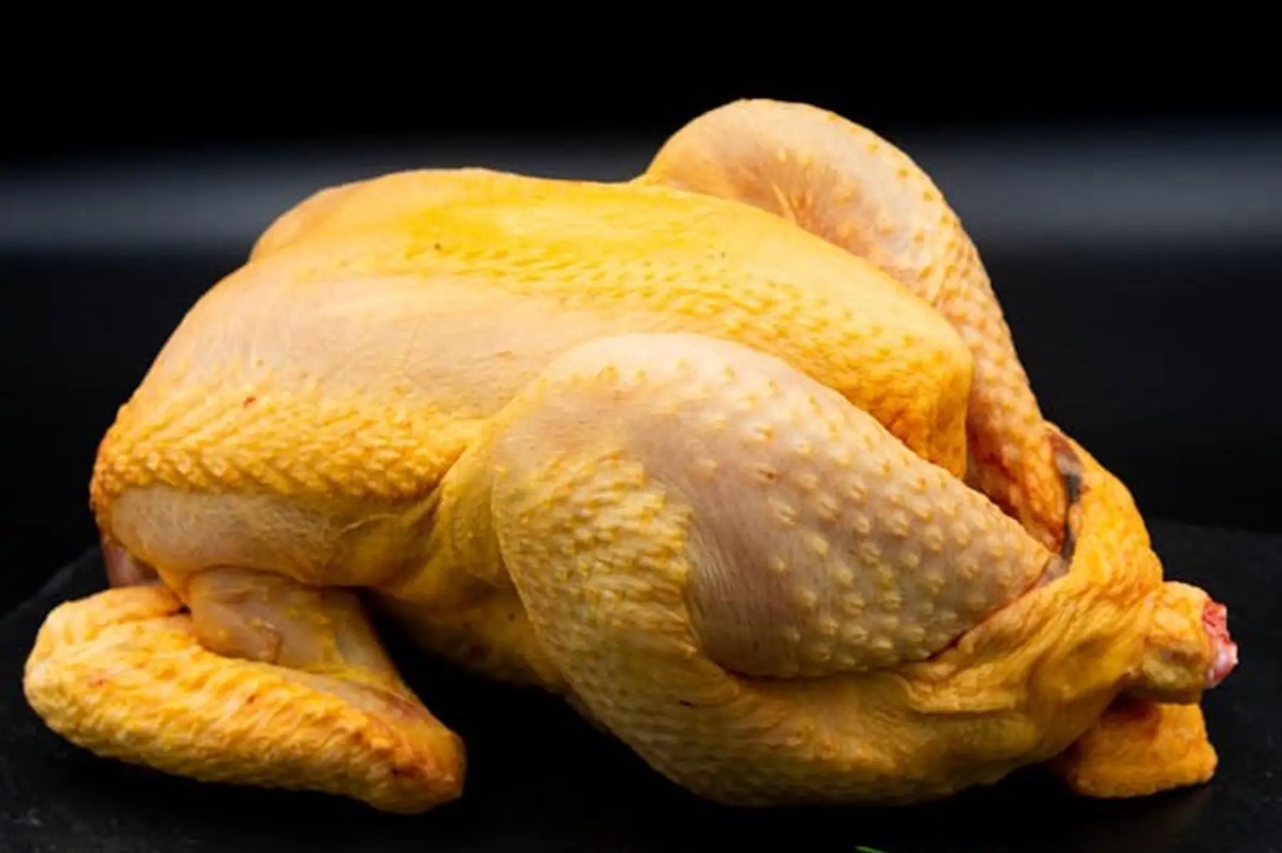 poulet fermier bio prêt-à-cuire entre 2.2kg et 2.6kg