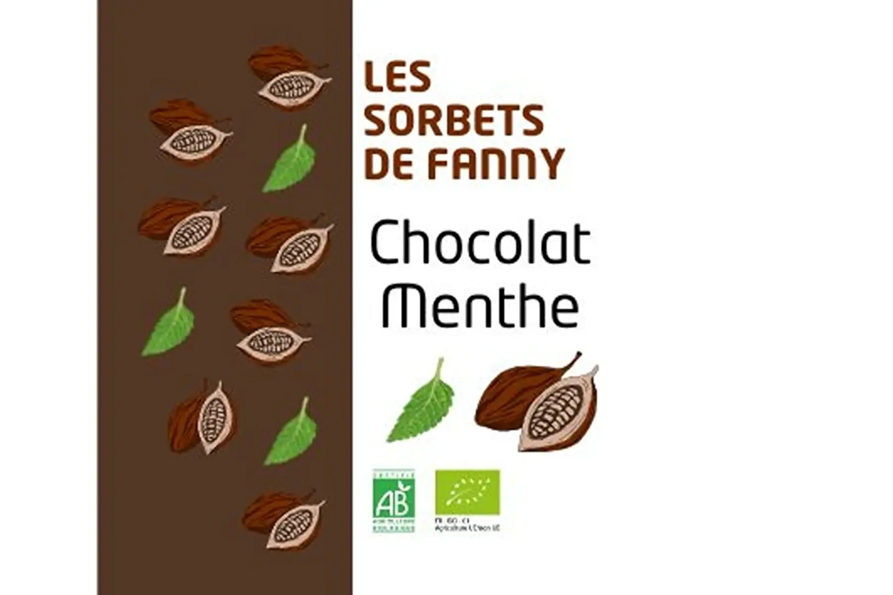 Sorbet Chocolat noir - Menthe (feuilles infusées)
