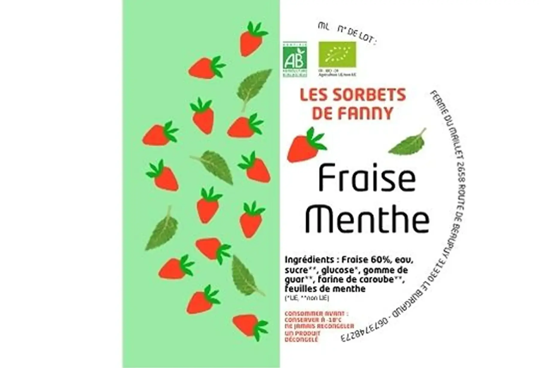 Sorbet Fraise - Menthe