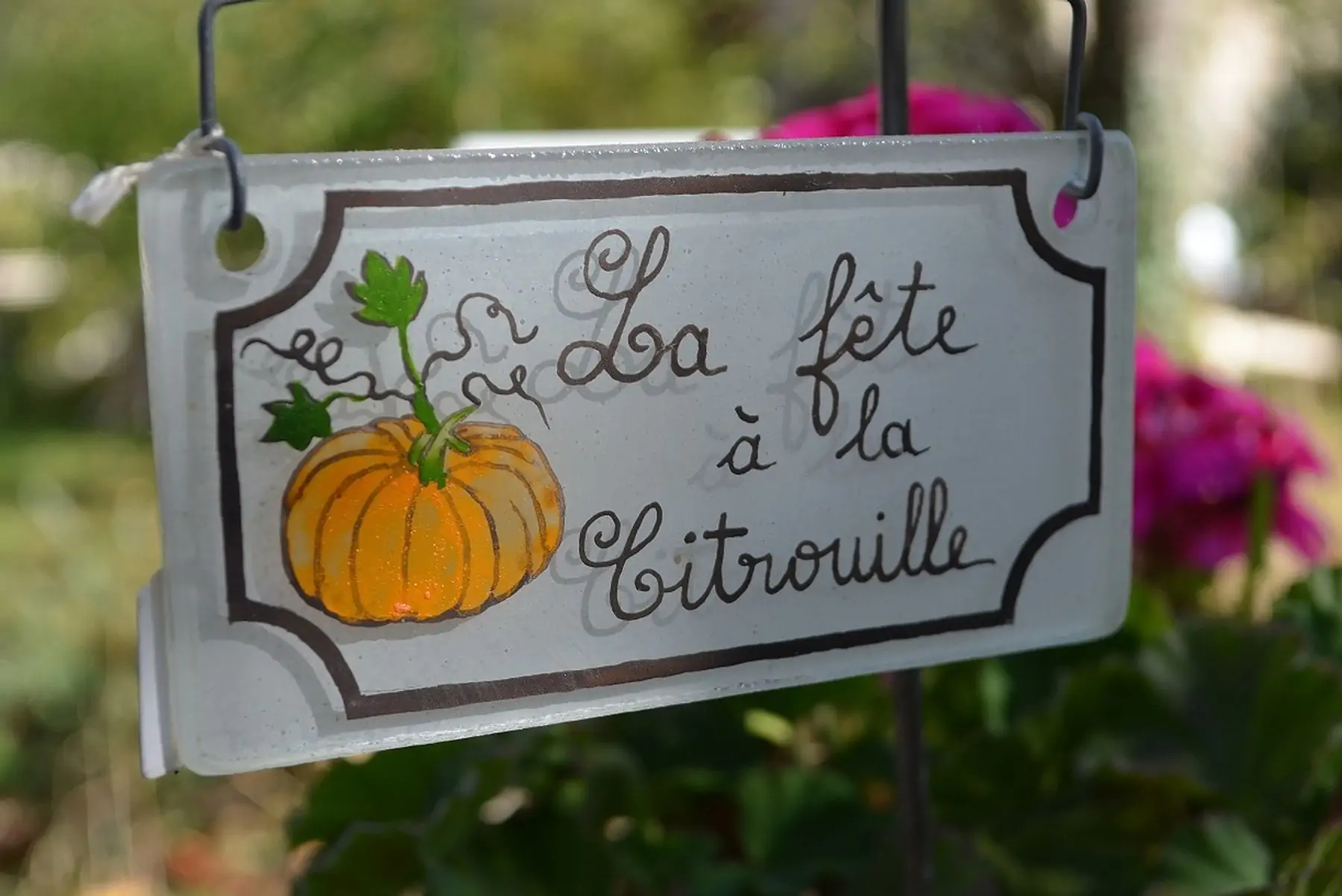 la fête a la citrouille