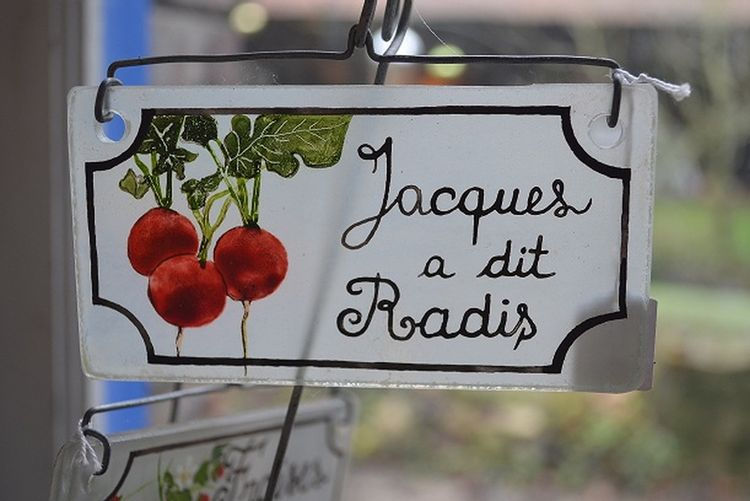 jacques a dit radis