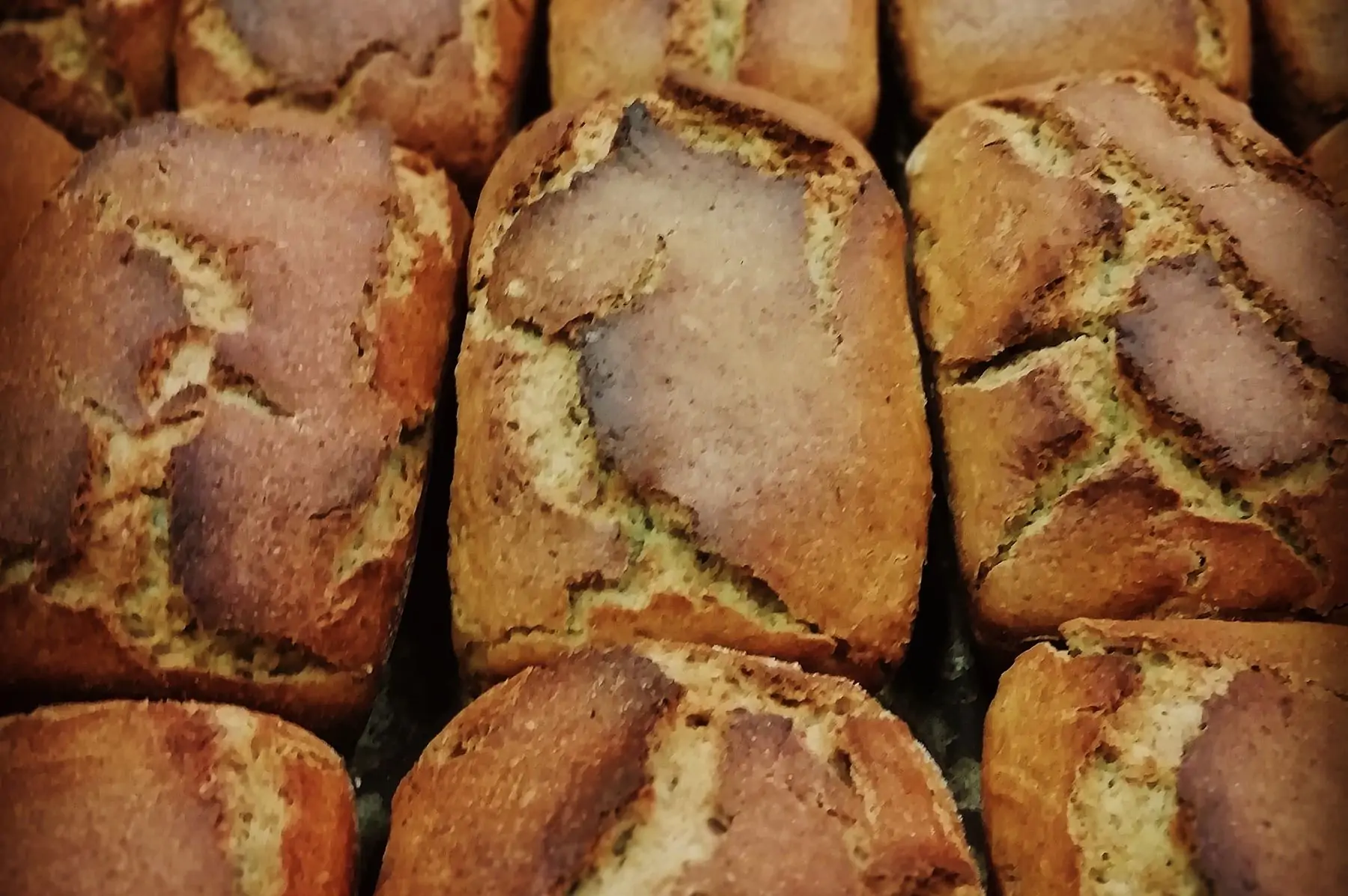 pain au petit épeautre