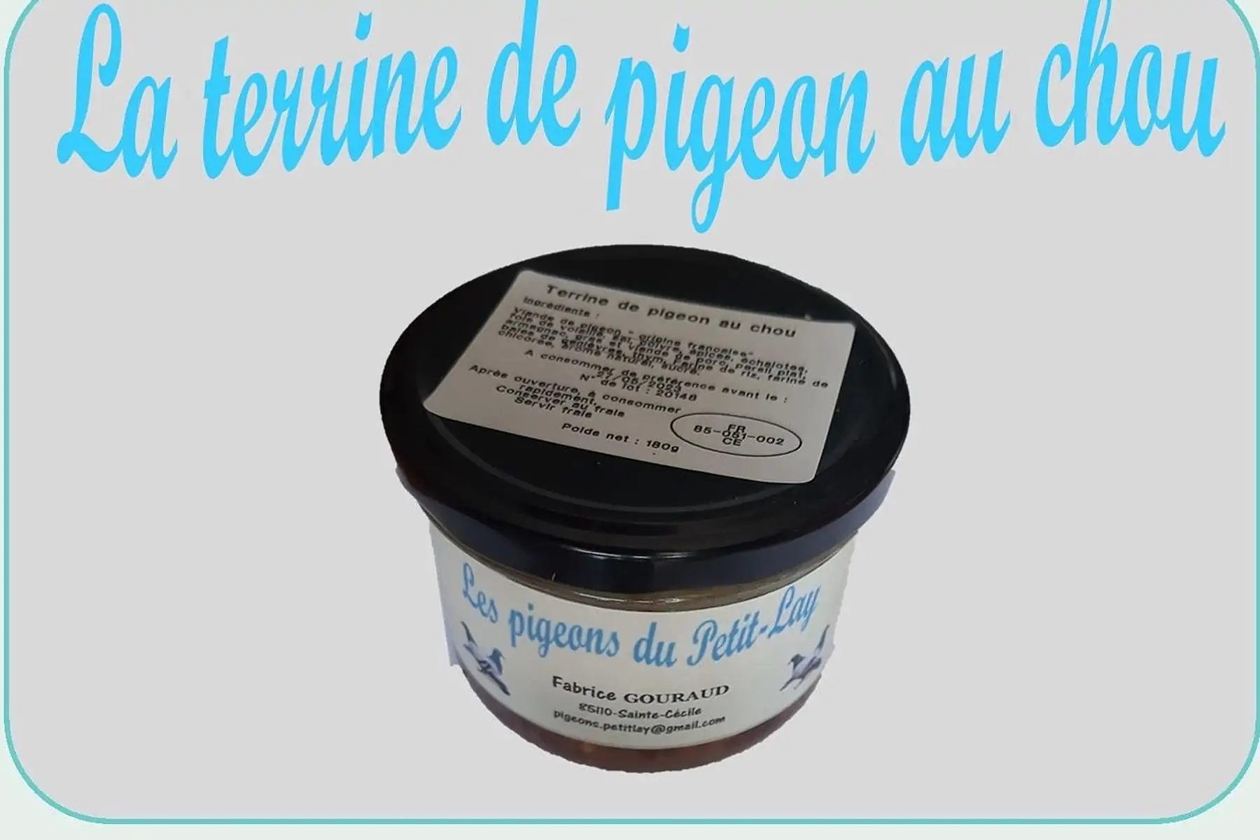 la terrine de pigeon au chou