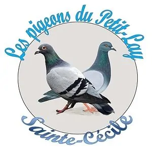 Les Pigeons du Petit Lay