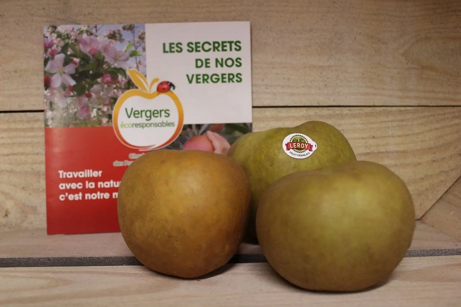 reinette grise du canada