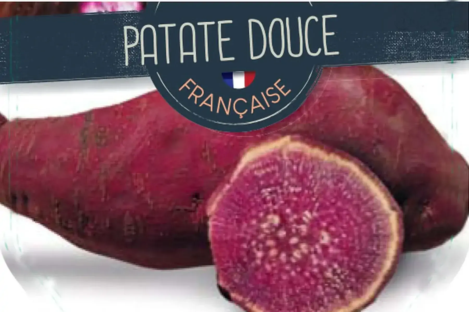 patate douce terre violetta