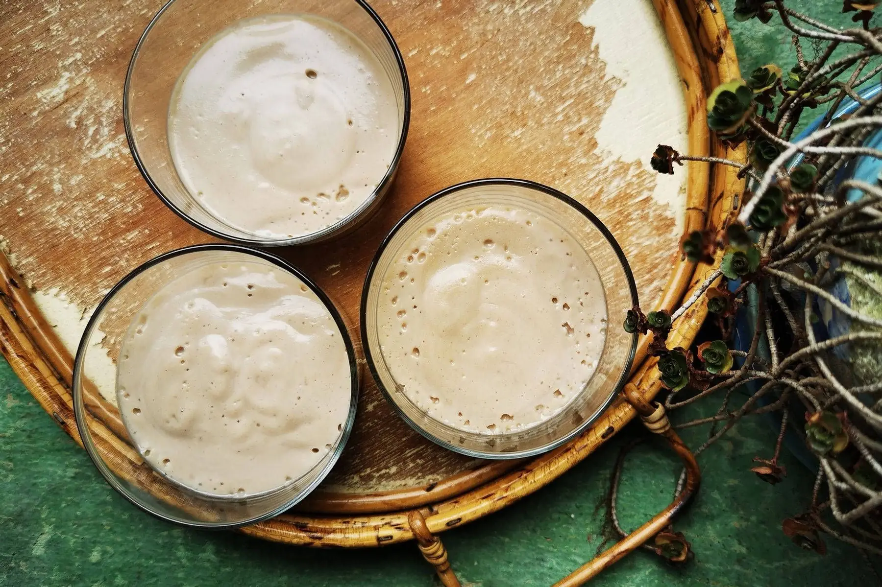 mousse végétale à la creme de marrons v sg