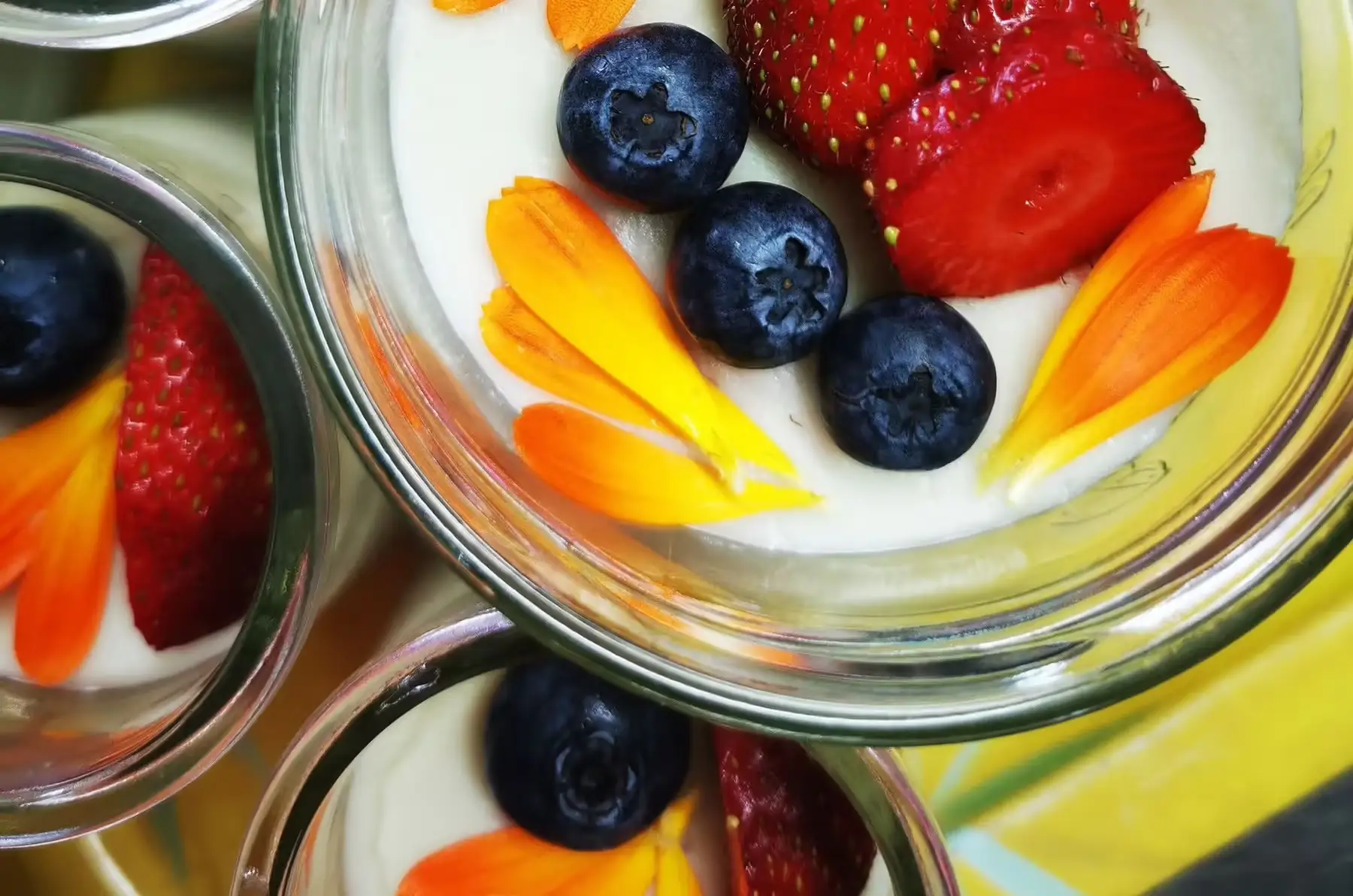 crème anglaise aux fleurs de sureau vg sg