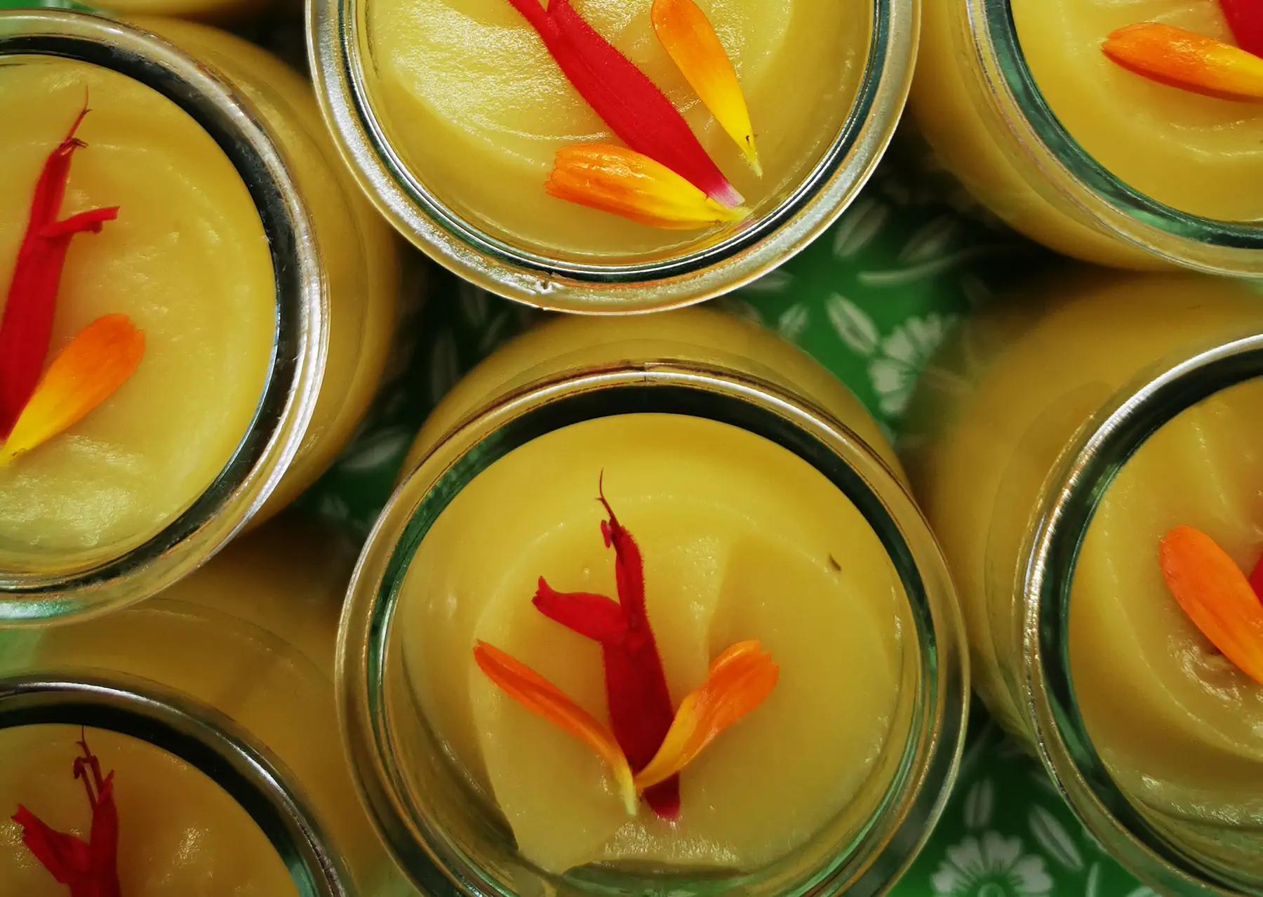 compote de pommes cuite à la vapeur douce v sg